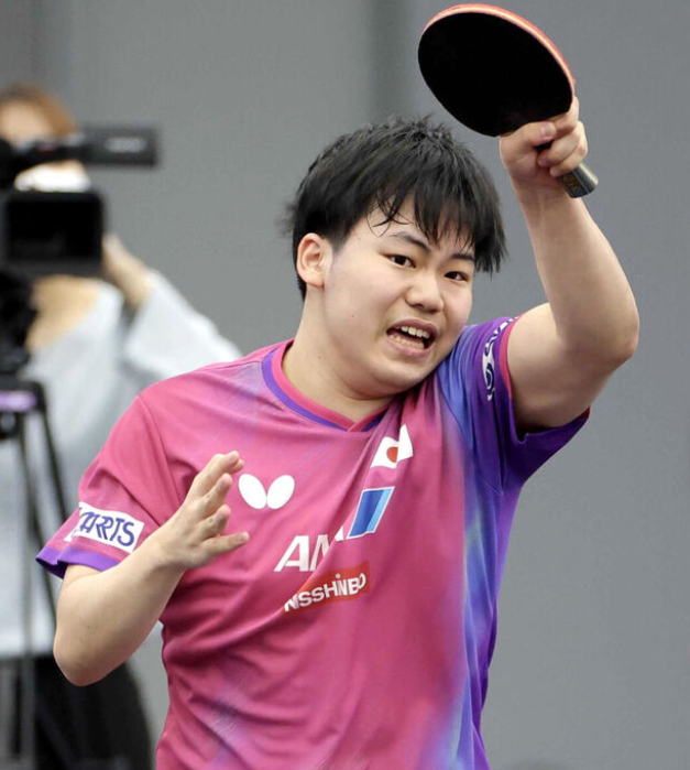 提供的食品 提供的食品