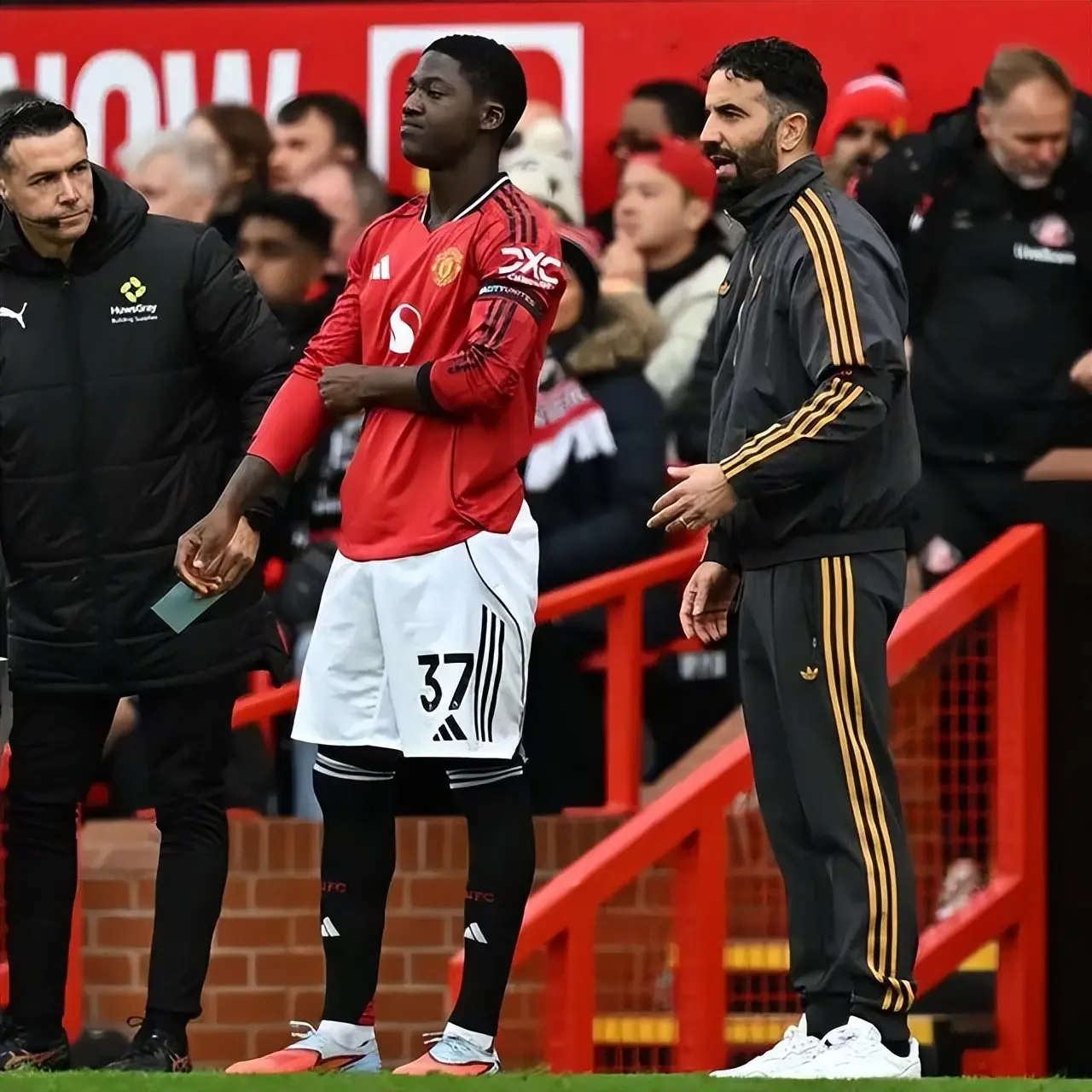 德里克, 窗活跃的俱, 这是顶级舞 德里克, 窗活跃的俱, 这是顶级舞